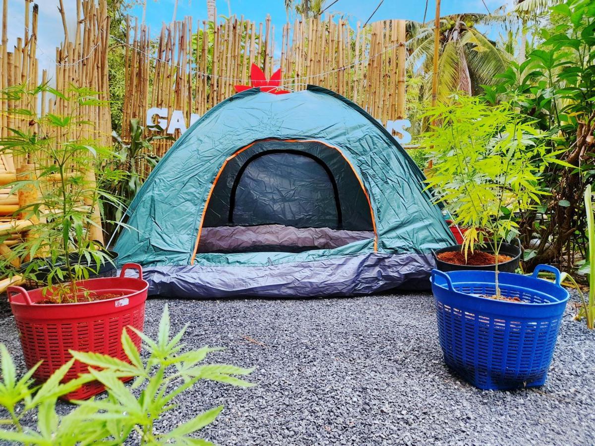 מלון Ban Nua Ganja Gardens Camping מראה חיצוני תמונה